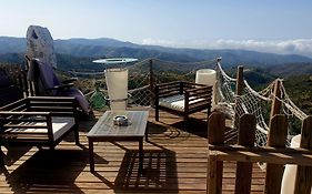 Cortijo Saucillo